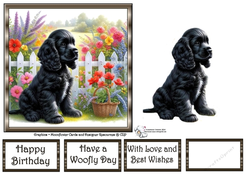 Picket Fence Pups (2) 2