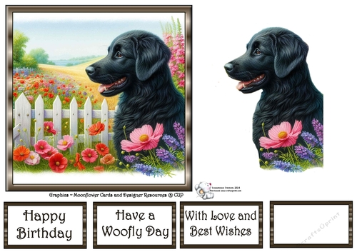 Picket Fence Pups (2) 3