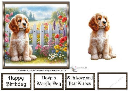 Picket Fence Pups (3) 2