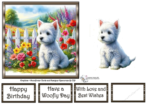 Picket Fence Pups (3) 3