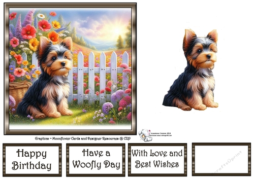 Picket Fence Pups (4) 1