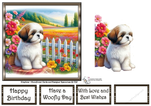 Picket Fence Pups (4) 2