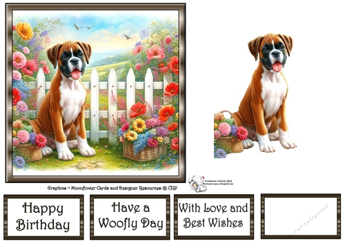 Picket Fence Pups (4) 3
