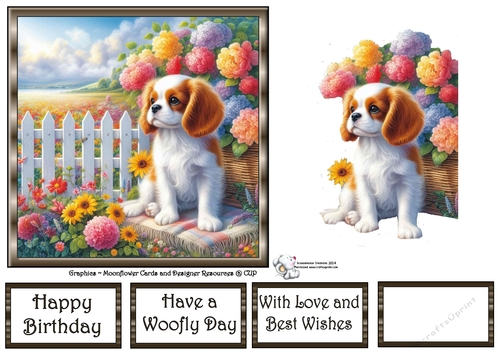 Picket Fence Pups (7) 2