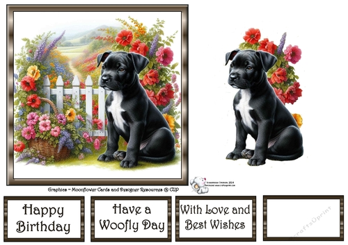 Picket Fence Pups (7) 3
