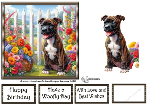 Picket Fence Pups (8) 2