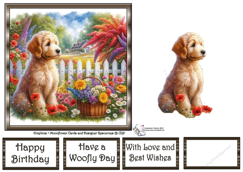 Picket Fence Pups (8) 3