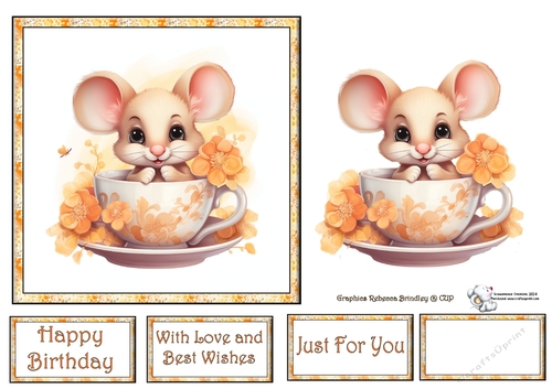 Teacup Mouse in Peach (Mix 1) 3
