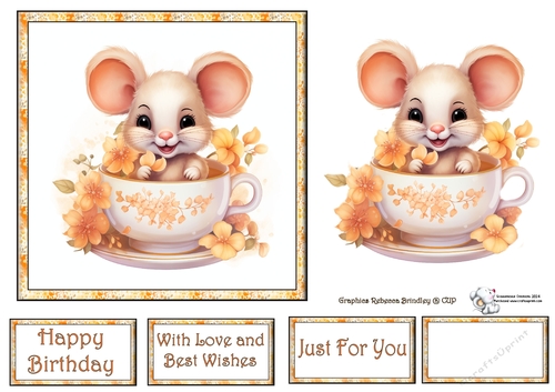 Teacup Mouse in Peach (Mix 1) 4