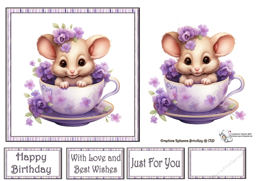 Teacup Mouse in Purple (Mix 1) 2