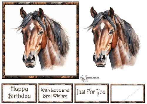 Bay Stunning Steeds (Mix 1) 1