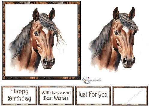 Bay Stunning Steeds (Mix 1) 3