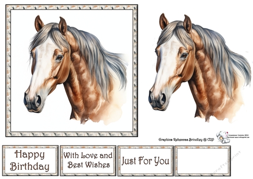 Dun Stunning Steeds (Mix 1) 3