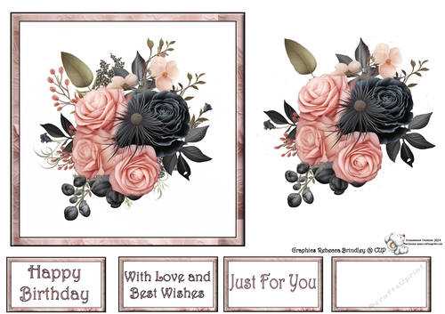 Essential Florals in Black and Blush (Mix 1)3