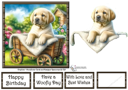 Garden Wagon Pups (7) 4