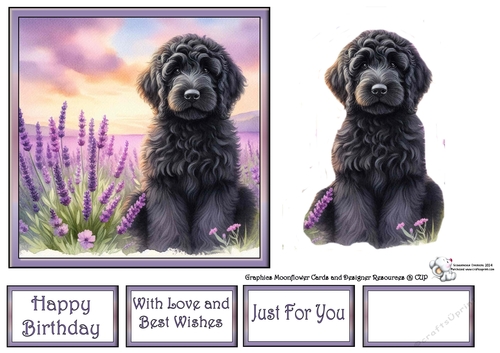 Lavender Fields Pups (4) 2