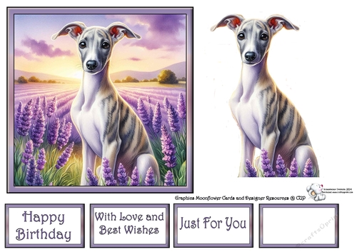 Lavender Fields Pups (7) 2