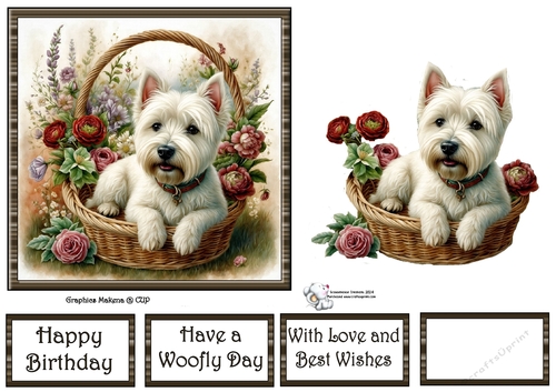 White Terrier 2