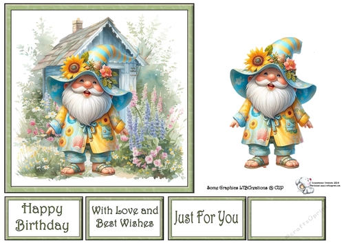 Summmer Gnome 1