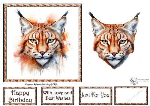 Beautiful Big Cats - Eurasian Lynx (Mix 1) 1