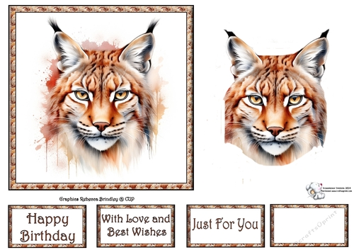 Beautiful Big Cats - Eurasian Lynx (Mix 1) 2