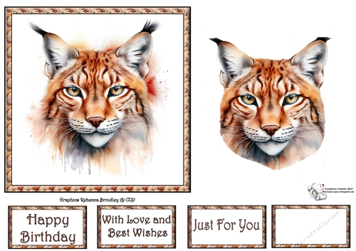 Beautiful Big Cats - Eurasian Lynx (Mix 1) 3