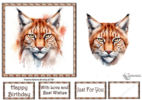 Beautiful Big Cats - Eurasian Lynx (Mix 1) 4