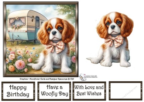 Caravan Pups (6) 1