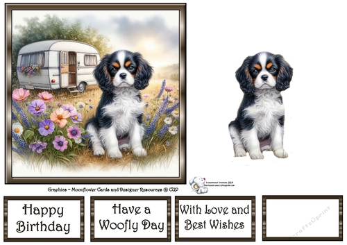 Caravan Pups (6) 2