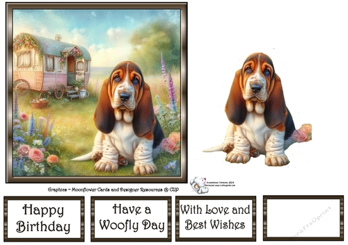 Caravan Pups (6) 3