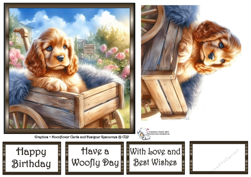 Garden Wagon Pups (10) 1