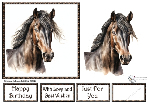 Grullo Stunning Steeds (Mix 1) 2