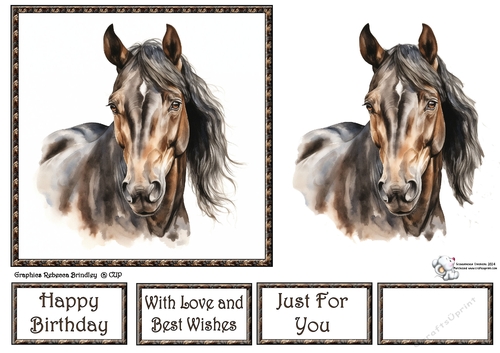 Grullo Stunning Steeds (Mix 1) 3