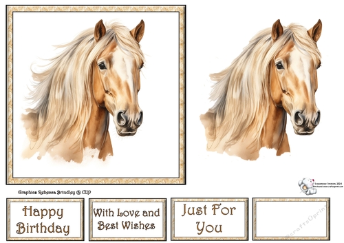 Palomino Stunning Steeds (Mix 1) 3