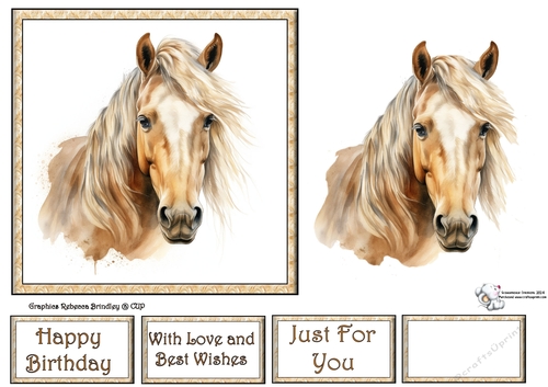 Palomino Stunning Steeds (Mix 1) 4