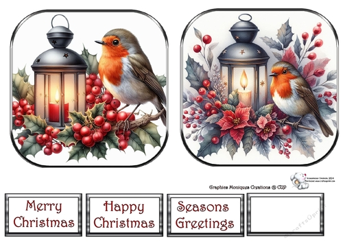 ROBINS ON LANTERNS AND POINSETTIAS Toppers 4