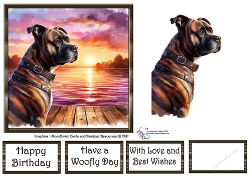 Sunset Dogs (1) 1