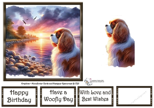 Sunset Dogs (1) 3