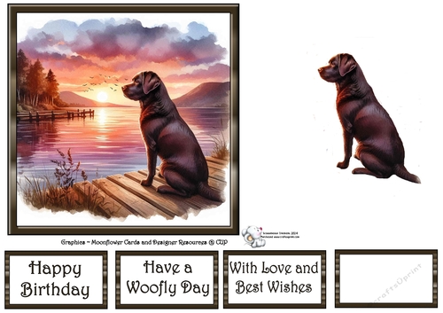 Sunset Dogs (4) 3