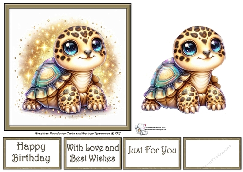 Baby Turtle 1