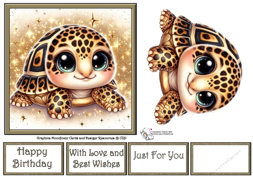 Baby Turtle 4