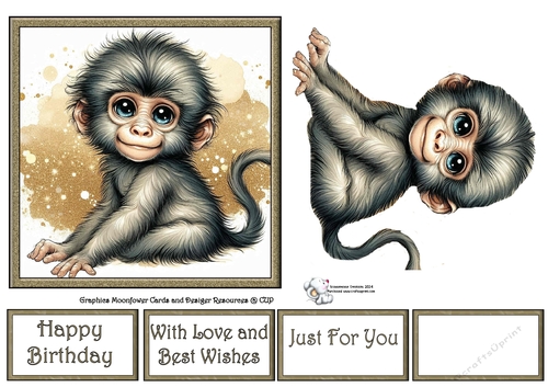 Cute Baby Monkey 1