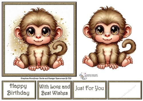 Cute Baby Monkey 2
