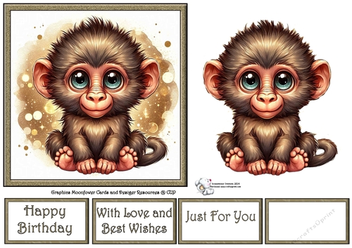 Cute Baby Monkey 3