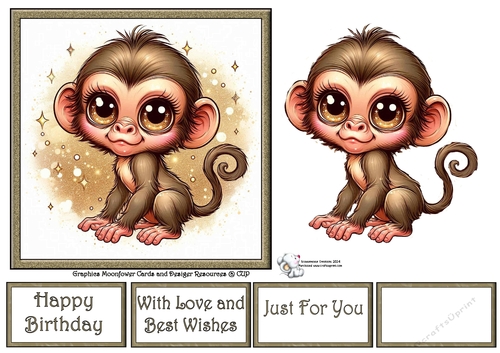 Cute Baby Monkey 4