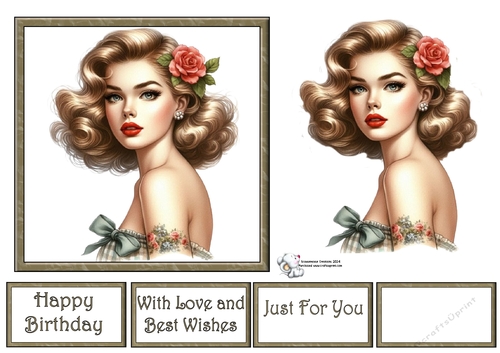 Pin Up Girl 5