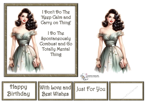 Pin Up Girl 8