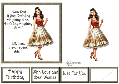 Pin Up Girl 11