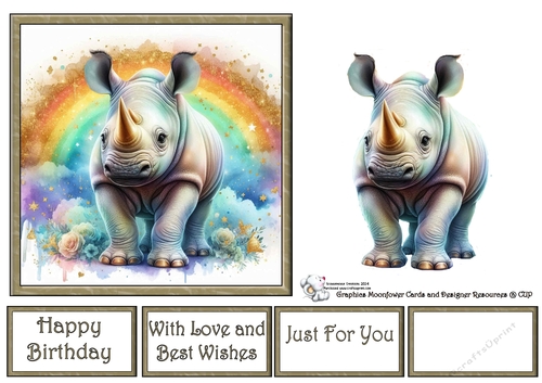 Rainbow Rhino 2