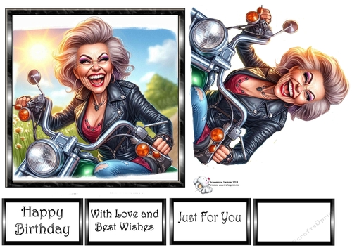 Senior Biker Chick 3